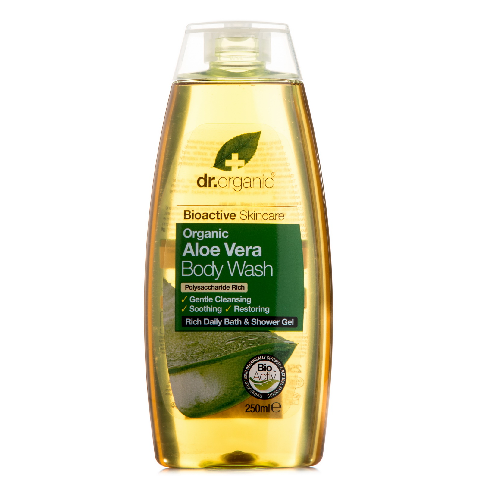 bogenhanf gelbe spitzen Bogenhanf 'Hahnii Golden Edge' – Foliage Factory main image 0