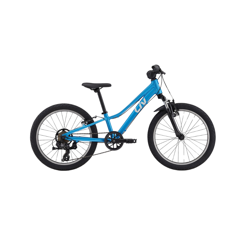 Giant 20 inch bike best sale